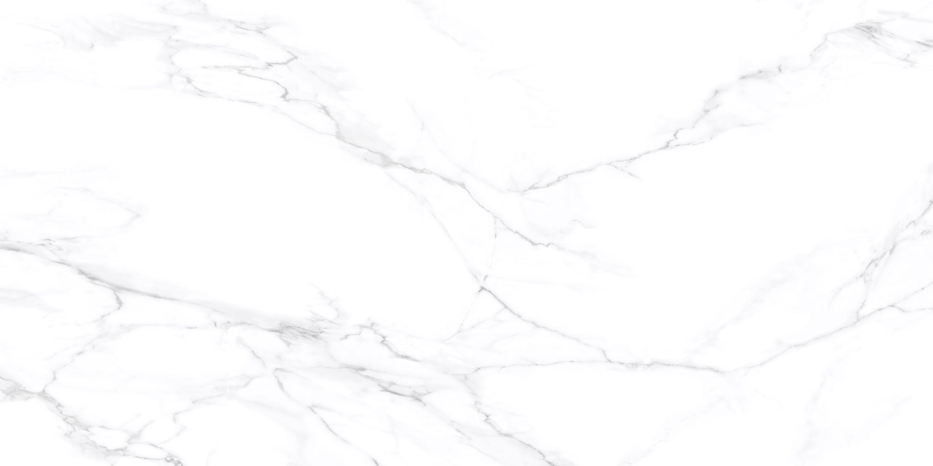 LAMAR-COLORADO WHITE